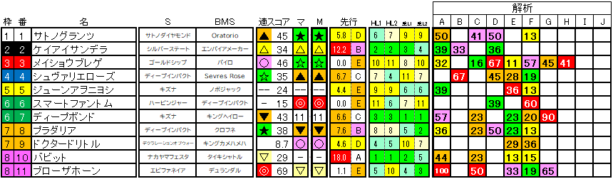 2024　京都大賞典　ラップ適性